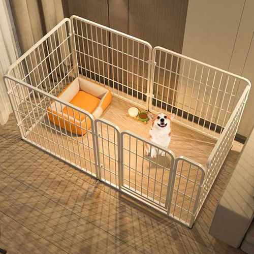 6panel dog pet puppy - dog,