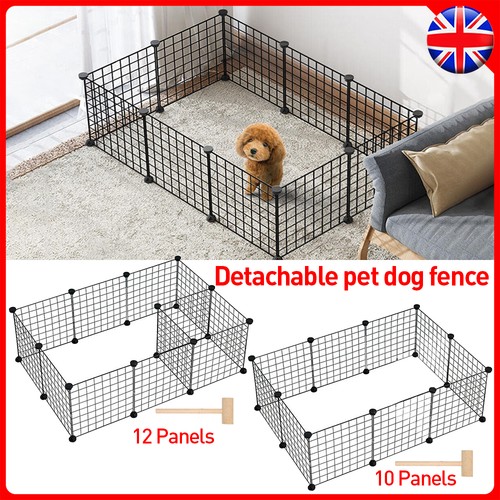 Panels pet dog - dog, play