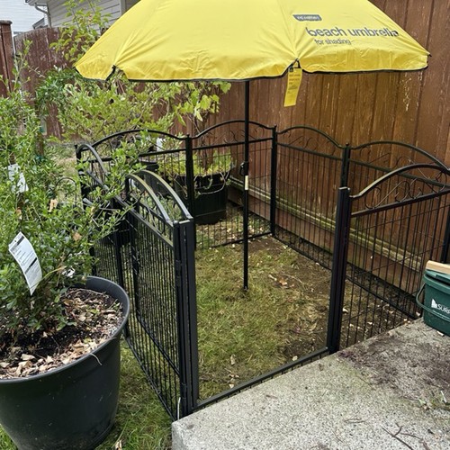 Indoor outdoor pet - dog, pen