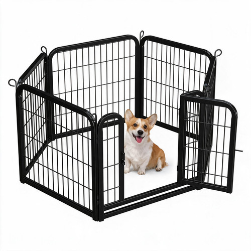 6panel dog pet - dog, puppy