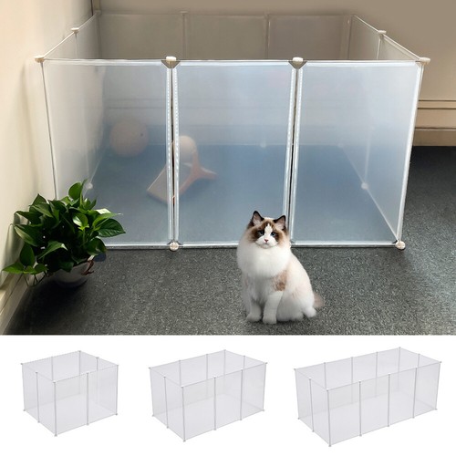 Small dog pen pet puppy - dog,