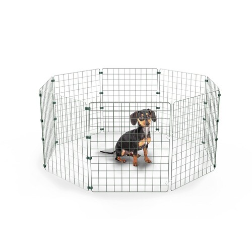 Pet dog pen puppy - dog,