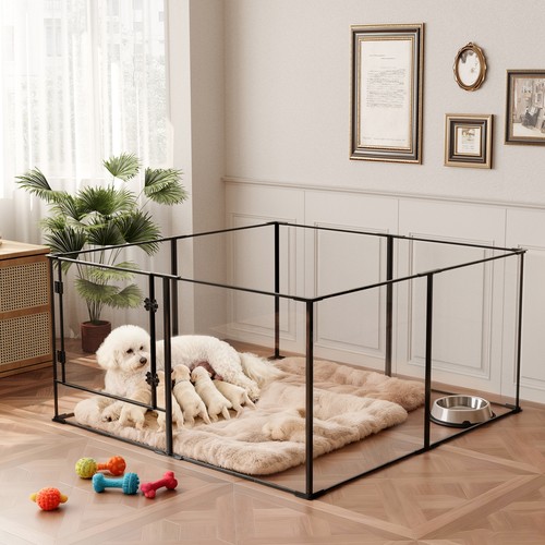 Large clear acrylic - xl,