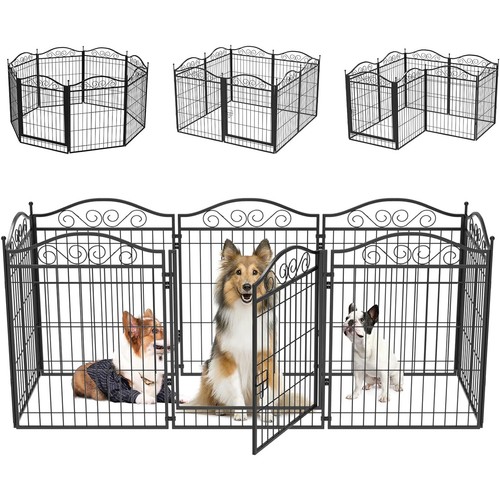 Bingopaw panels dog play - bingopaw,